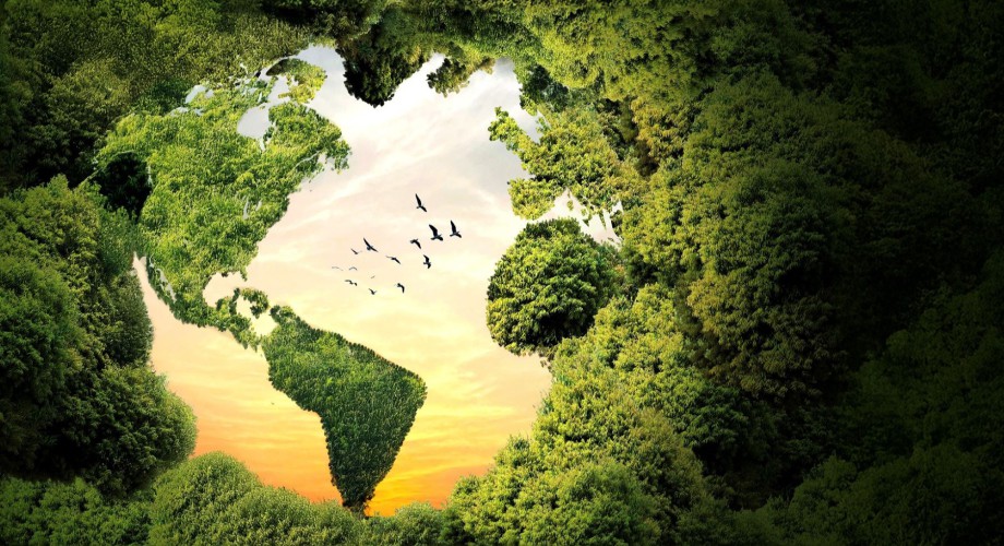 Reybanpac, en acción por el clima