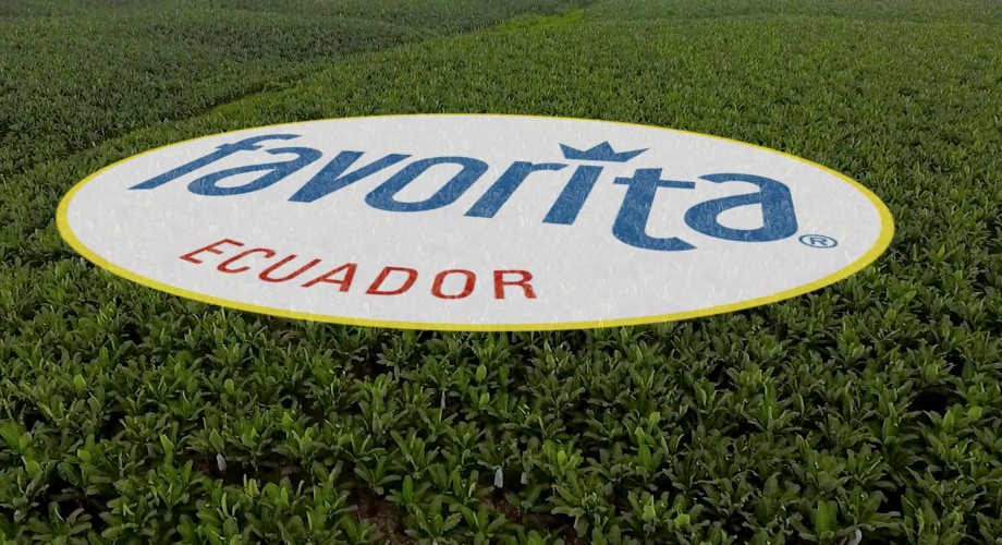 Las buenas prácticas agrícolas que ejecuta REYBANPAC para la conservación del suelo