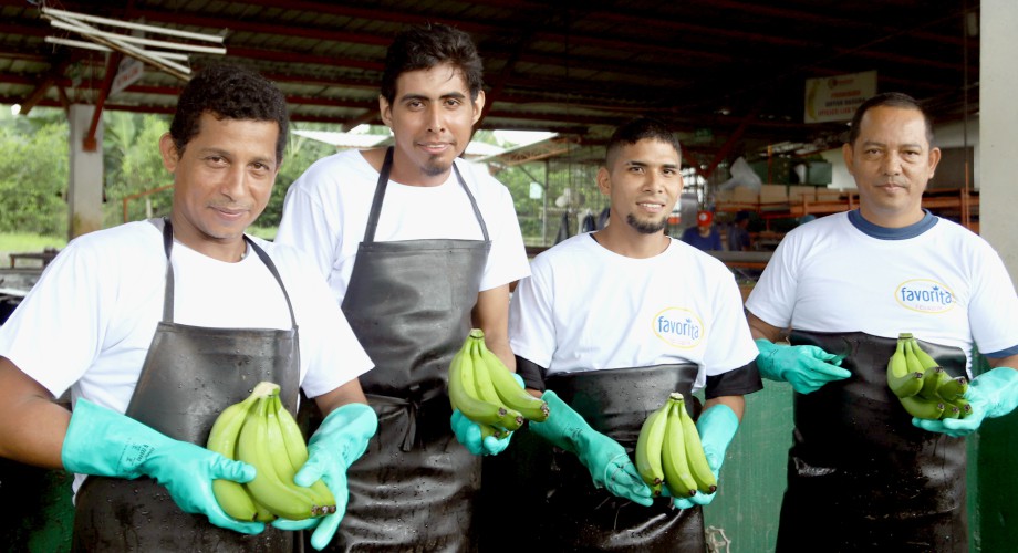 REYBANPAC, comprometida con la generación de trabajo decente y el desarrollo de las comunidades